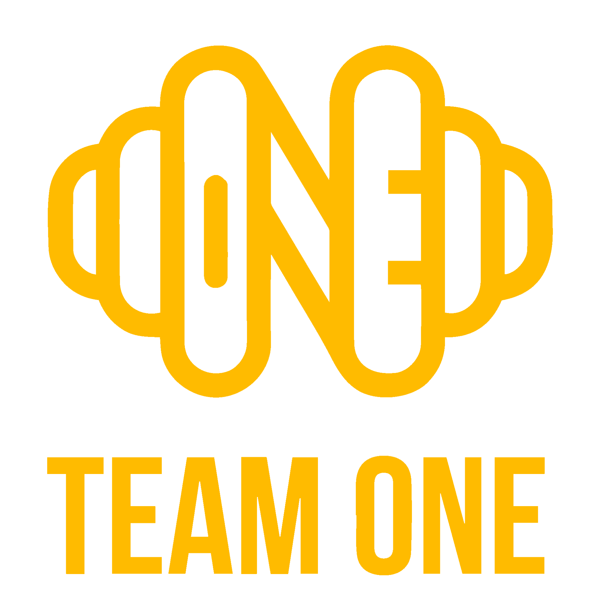 Team One | Protocolo 40 Minutos - Transforme Seu Corpo